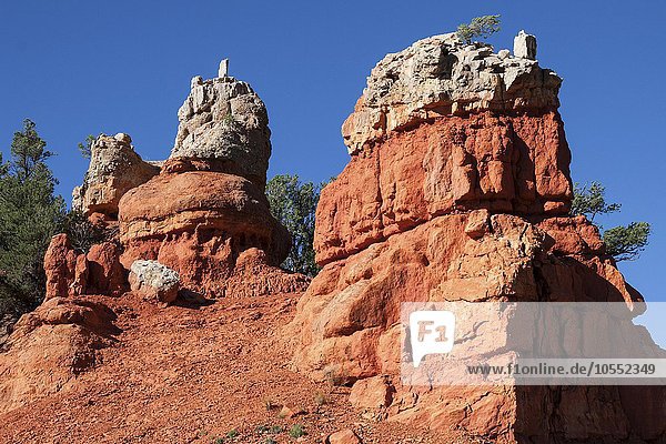 Gesteinsformationen durch Erosion  Red Canyon  Utah  USA  Nordamerika