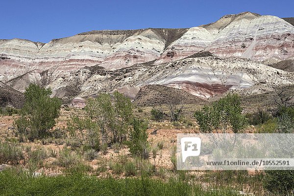 Farbige Gesteinsformationen am Utah Highway 24  östlich vom Capitol Reef  Utah  USA  Nordamerika
