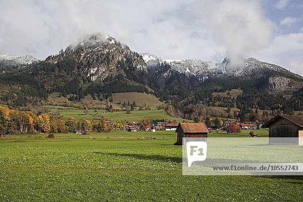 Wiese mit kleinen Hütten  Ostrachtal bei Bad Oberdorf  hinten die Allgäuer Berge  Herbststimmung  Allgäu  Bayern  Deutschland  Europa