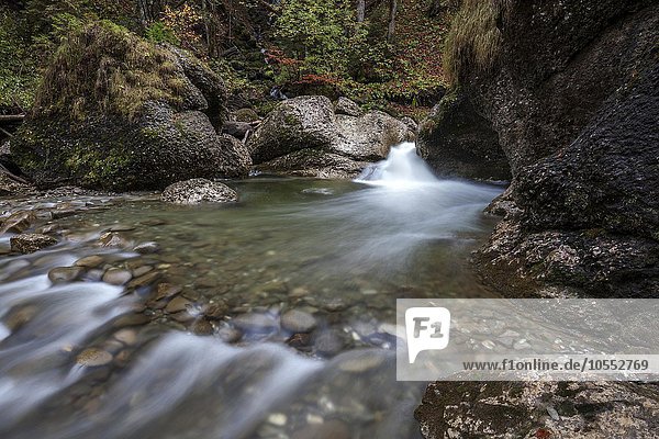 Ostertalbach im Ostertaltobel mit kleinem Wasserfall Herbststimmung Gunzesried-Säge Allgäu Bayern Deutschland Europa