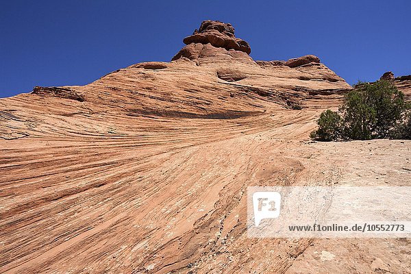 Felsformation  Strukturen im Fels  Nähe Garden of Eden  Arches National Park  Utah  USA  Nordamerika