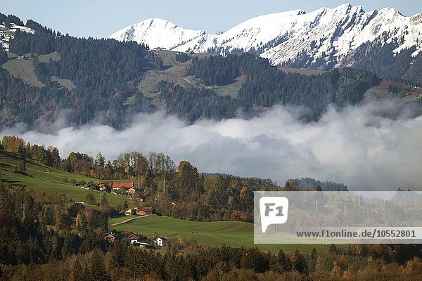 Morgennebel liegt im Tal  hinten die Allgäuer Berge  bei Bad Hindelang  Allgäu  Bayern  Deutschland  Europa
