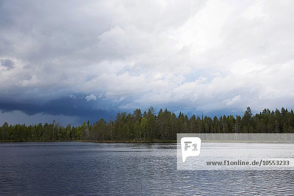 Regenstimmungstimmung am See in finnischer Taiga  Kainuu  North Karelia  Finnland  Europa