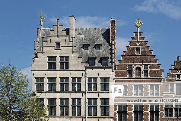 Fassaden  Giebelhäuser  Altstadt  Antwerpen  Flandern  Belgien  Europa
