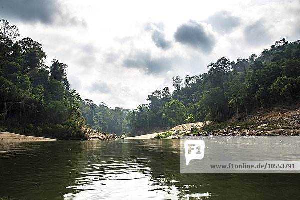 Fluss Sungai Tembeling  Regenwald  Dschungel  Kuala Tahan  Taman Negara Nationalpark   Malaysia  Asien