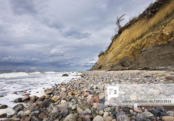 Kieselsteine am Strand  Hohes Ufer  Ostsee bei Ahrenshoop  Fischland  Fischland-Darß-Zingst  Mecklenburg-Vorpommern  Deutschland  Europa