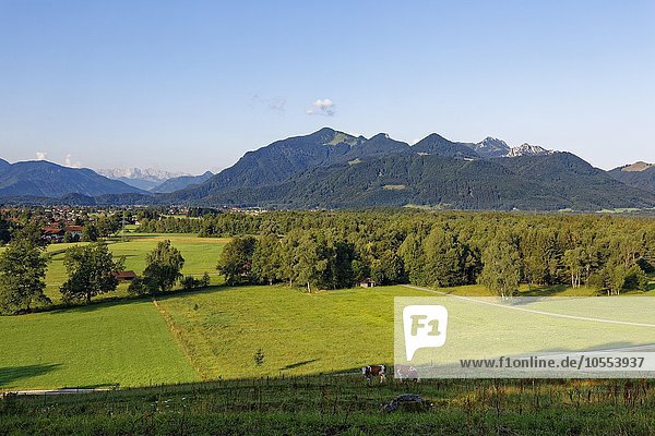 Kendlmühlfilzen mit Grassau  Hochplatte und Kampenwand  Ausblick von Westerbuchberg  Chiemgauer Alpen  Chiemgau  Oberbayern  Bayern  Deutschland  Europa