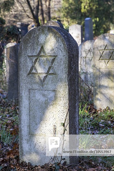 Grave stones  Star of David  old Jewish cemetery  Zentralfriedhof  Simmering  Vienna  Austria  Europe