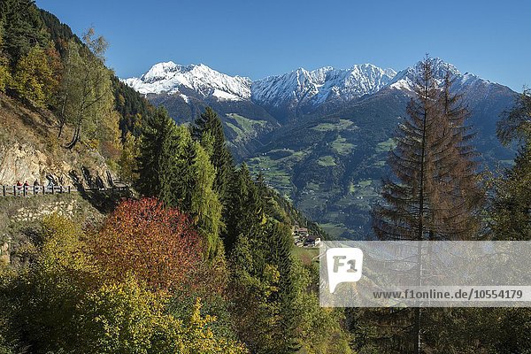 Herbstlandschaft in den Bergen von Südtirol  Trentino  Südtirol  Italien  Europa