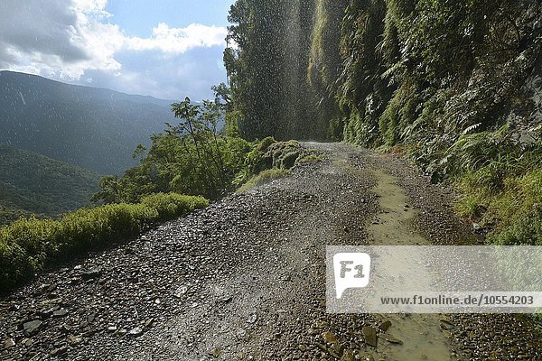 Todesstrasse  Camino de la Muerte  Yungas Straße zwischen La Paz und Coroico  Bolivien  Südamerika