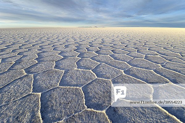 Wabenstruktur auf dem Salzsee Salar de Uyuni  Altiplano  Lipez  Bolivien  Südamerika