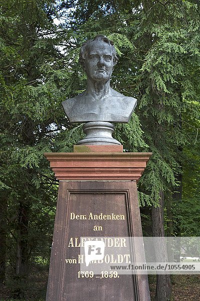 Büste zum Andenken an Alexander von Humboldt  Stadtpark  Görlitz  Oberlausitz  Sachsen  Deutschland  Europa