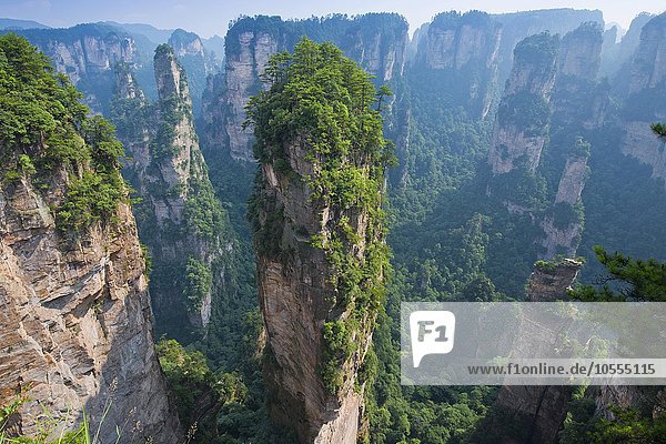 Hallelujah Mountains  sandstone towers  mountains of Zhangjiajie  Wulingyuan National Park  Hunan Province  China  Asia