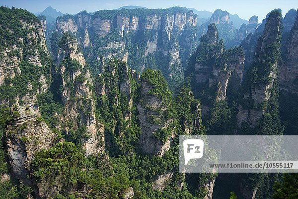 Sandstone towers  mountains of Zhangjiajie  Wulingyuan National Park  Hunan Province  China  Asia