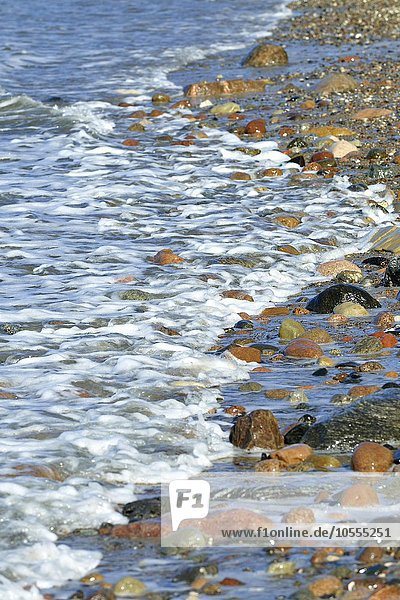 Bunte Steine am Strand von Wasser umspült  Hohes Ufer bei Ahrenshoop  Fischland-Darß-Zingst  Mecklenburg-Vorpommern  Deutschland  Europa