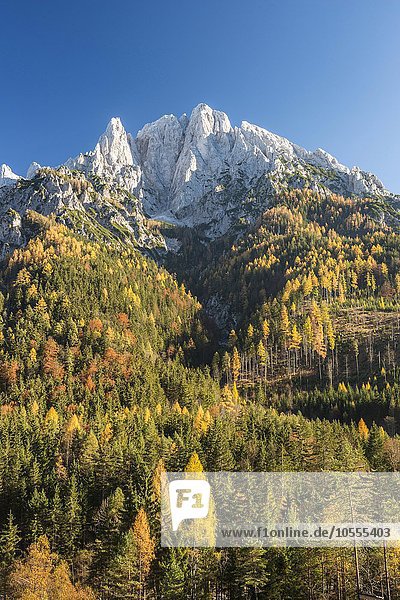 Großer Ödstein im Herbst  Nationalpark Gesäuse  Steiermark  Österreich  Europa