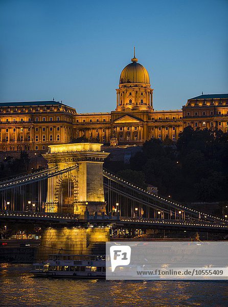 Burgpalast und Kettenbrücke in der Abenddämmerung  Budapest  Ungarn  Europa