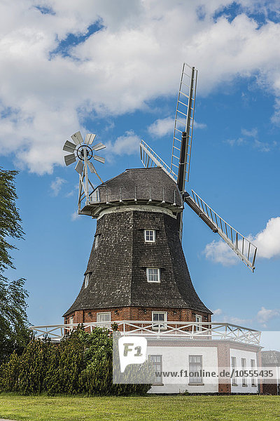 Alte Windmühle  Galerieholländerwindmühle  Klütz  Mecklenburg-Vorpommern  Deutschland  Europa