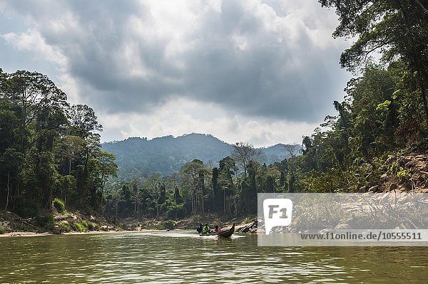 Boat on Tembeling River  rainforest  jungle  Kuala Tahan  Taman Negara  Malaysia  Asia