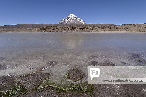 Sajama Volcano and frozen lake on Rio Sajama Sajama National Park Oruro border between Bolivia and Chile
