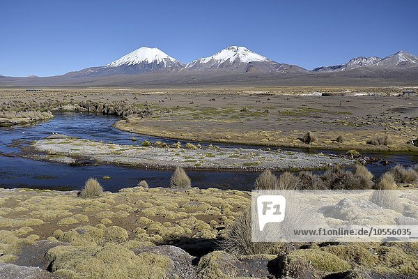 Schneebedeckte Vulkane Pomerape und Parinacota  Sajama Nationalpark  Grenze Bolivien  Chile  Südamerika