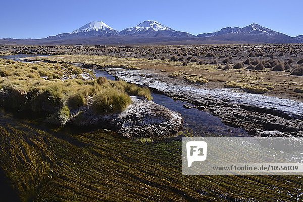 Schneebedeckte Vulkane Pomerape und Parinacota  Sajama Nationalpark  Grenze Bolivien Chile