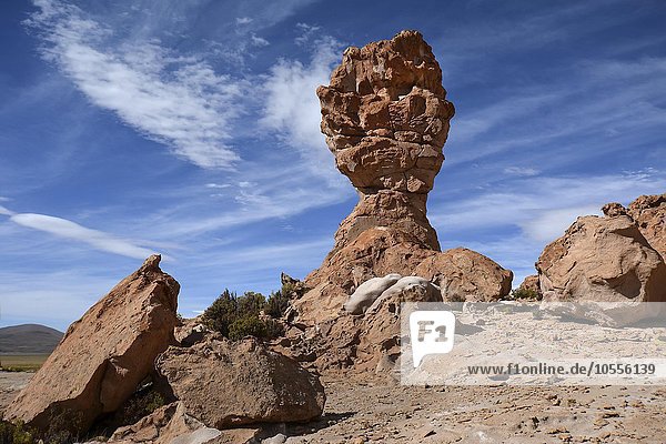 Eroded rock pinnacle Valle de las Rocas rocky valley Uyuni Altiplano border triangle Bolivia Argentina Chile South America