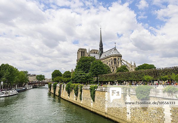 Blick über die Seine mit Kirche Notre-Dame  Paris  Île-de-France  Frankreich  Europa