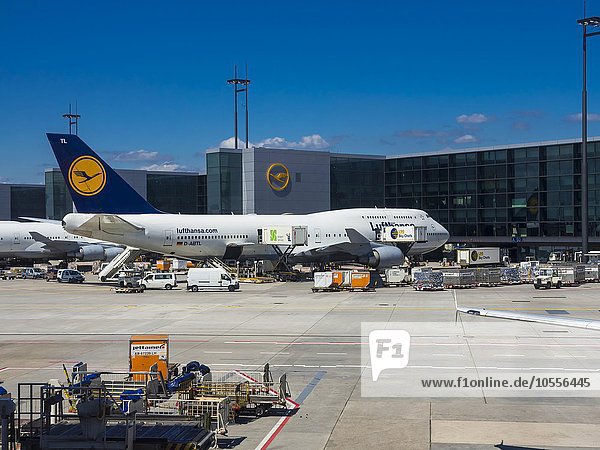 Lufthansa Boeing 747  Frankfurt Airport  Frankfurt  Hesse  Germany  Europe
