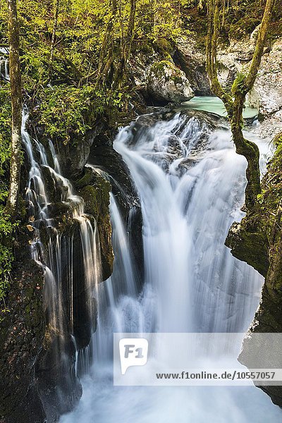 Wasserfall an der Lepenjica  Bovec  Triglav Nationalpark  Slowenien  Europa