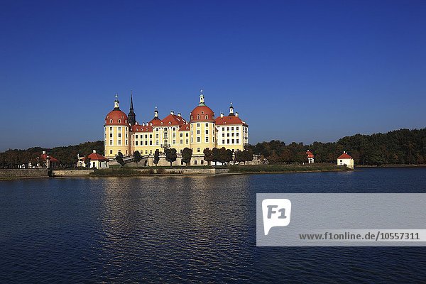 Moritzburg Castle  Saxony  Germany  Europe