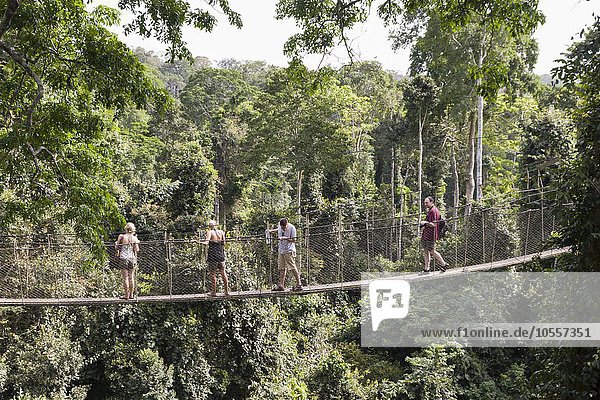 Leute auf dem Canopy Walkway  Baumkronen-Pfad  40 Meter hoch  Kakum-Nationalpark  Ghana  Afrika