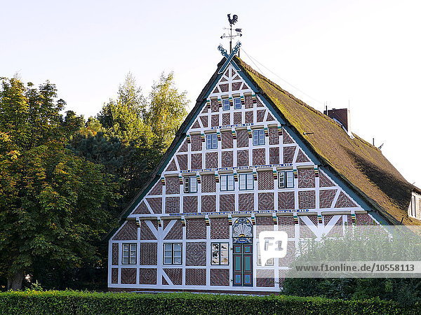 Timber-framed house  Altes Land  Lower Saxony  Germany  Europe