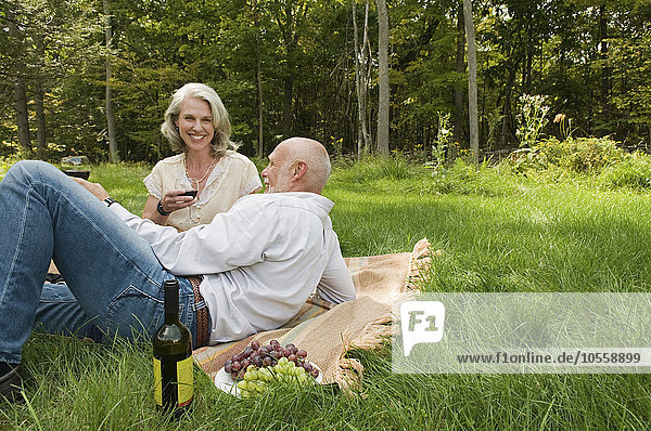 Älteres Paar entspannt sich beim Picknick im Park