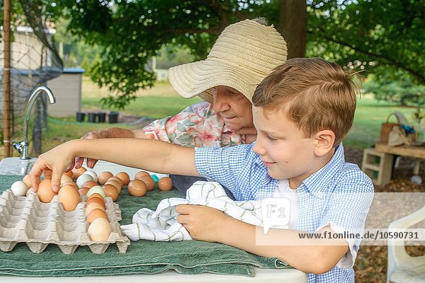 Senior woman and grandson arranging eggs into tray on farm