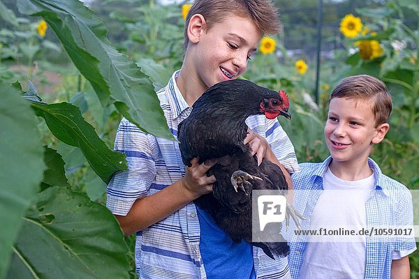 Portrait of brothers in field holding hen