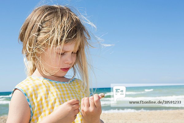 Girl with blond flyaway hair looking at seashell on beach