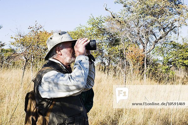 Senior Mann  der auf Safari durchs Fernglas schaut  Kafue Nationalpark  Sambia