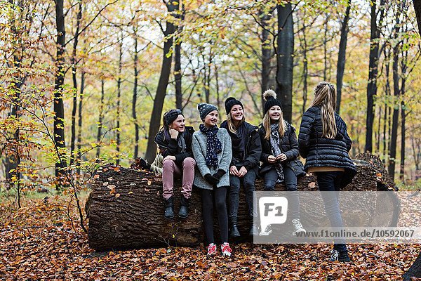 Girls chatting on tree trunk in autumn forest
