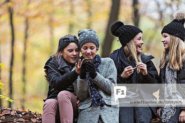 Girls using smartphone and chatting in autumn forest