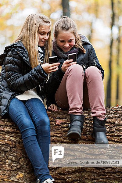 Mädchen mit Smartphone auf Baumstamm im Herbstwald