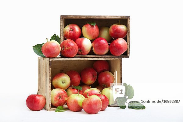 Holzkisten gefüllt mit frischen Äpfeln
