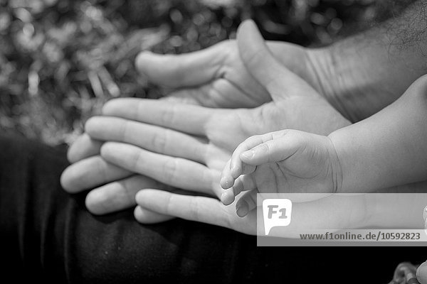 High angle view of mother  father and sons hands  black and white
