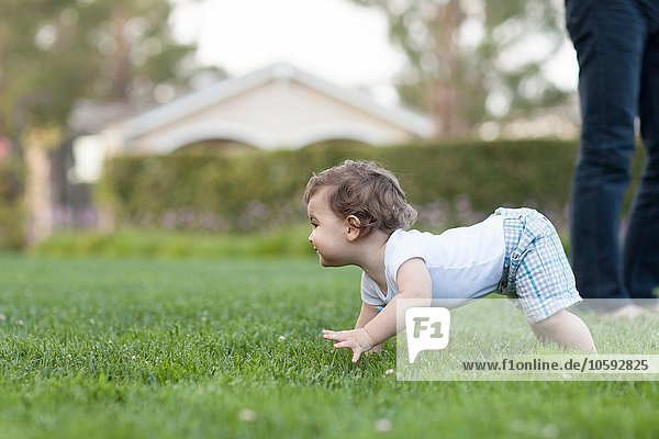 Side view of baby boy crawling on grass