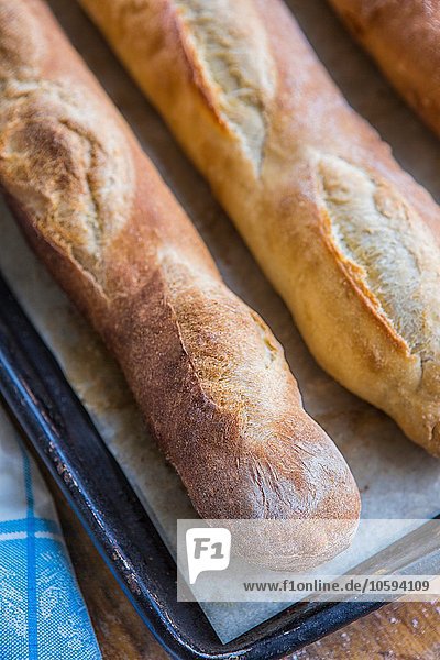 Freshly baked baguettes  elevated view