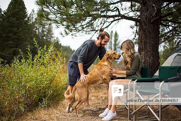 Young couple petting dog at campsite  Lake Tahoe  Nevada  USA