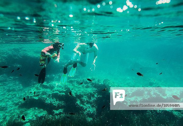 Underwater view of mature man and son sea snorkeling  Menorca  Balearic islands  Spain