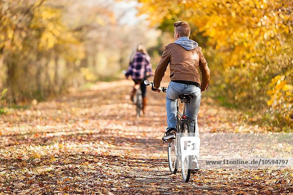Rückansicht des Teenagers und der erwachsenen Schwester beim Radfahren im Herbstwald