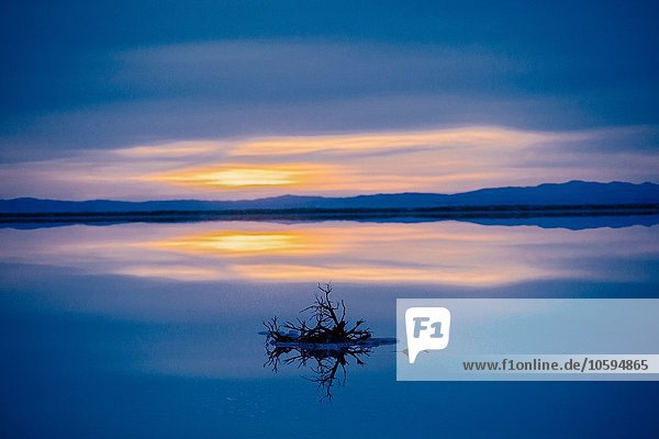 Reflektionspool des Horizonts über Wasser  blauer Abendhimmel und Sonnenuntergang  Bonneville  Utah  USA