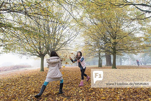 Zwei junge Mädchen spielen  werfen Blätter  im Wald  Herbst